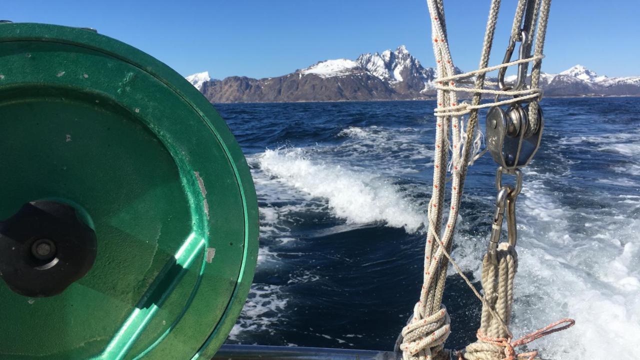 Nordlandshuset "Lottebakken", Ballstad In Lofoten Exterior photo